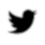 twitter-icon